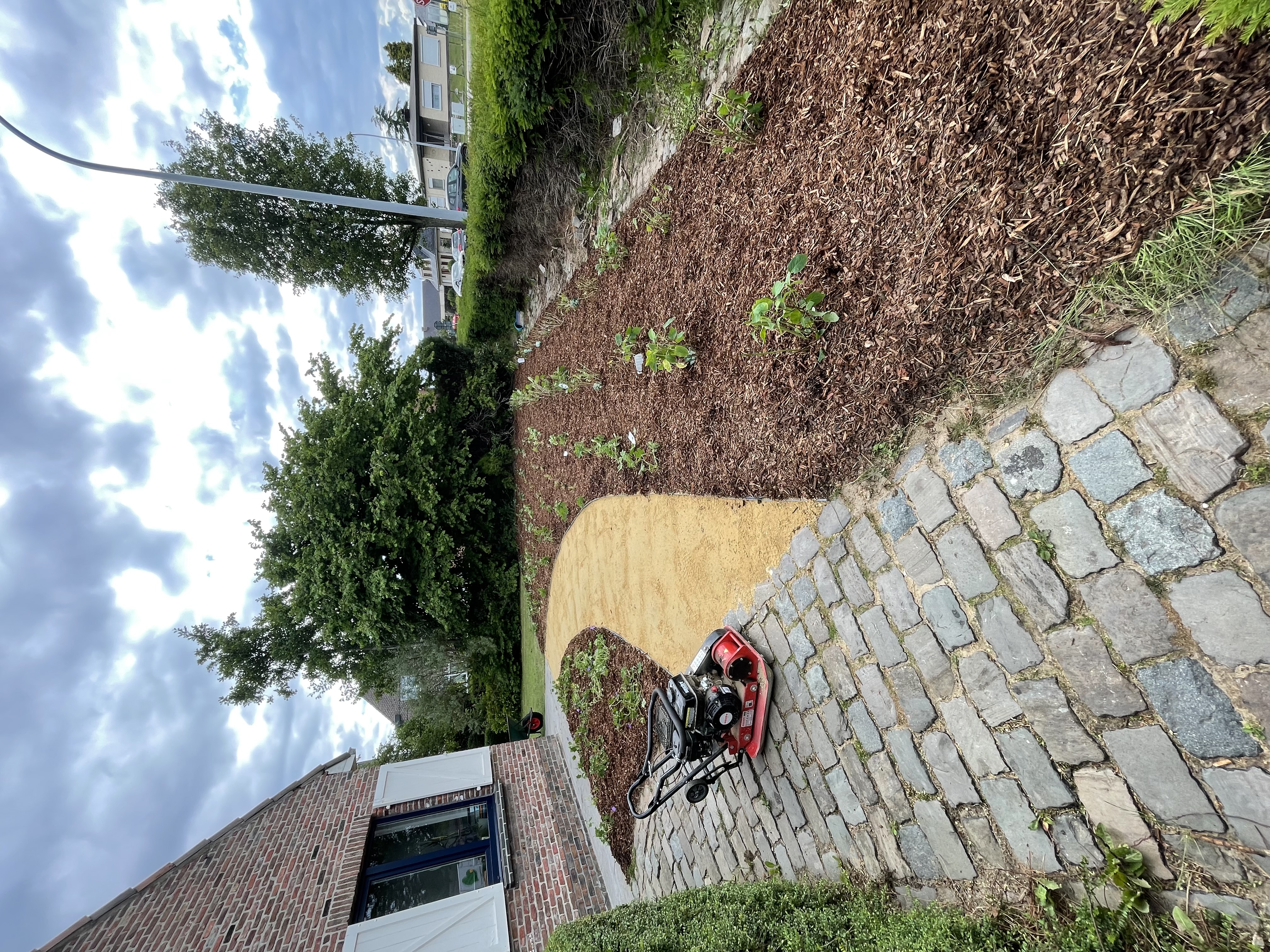 Aanplanting van bomen en struiken