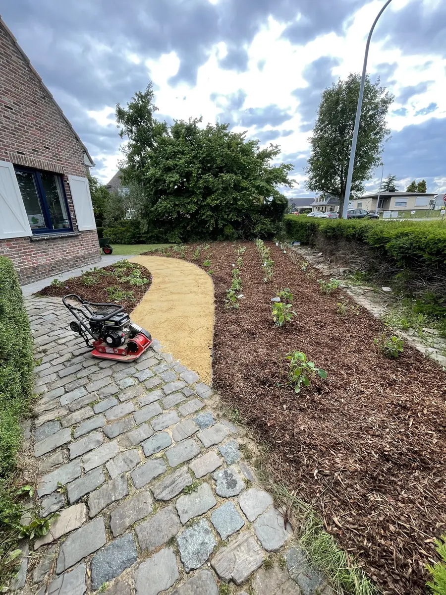 Aanplanting van bomen en struiken
