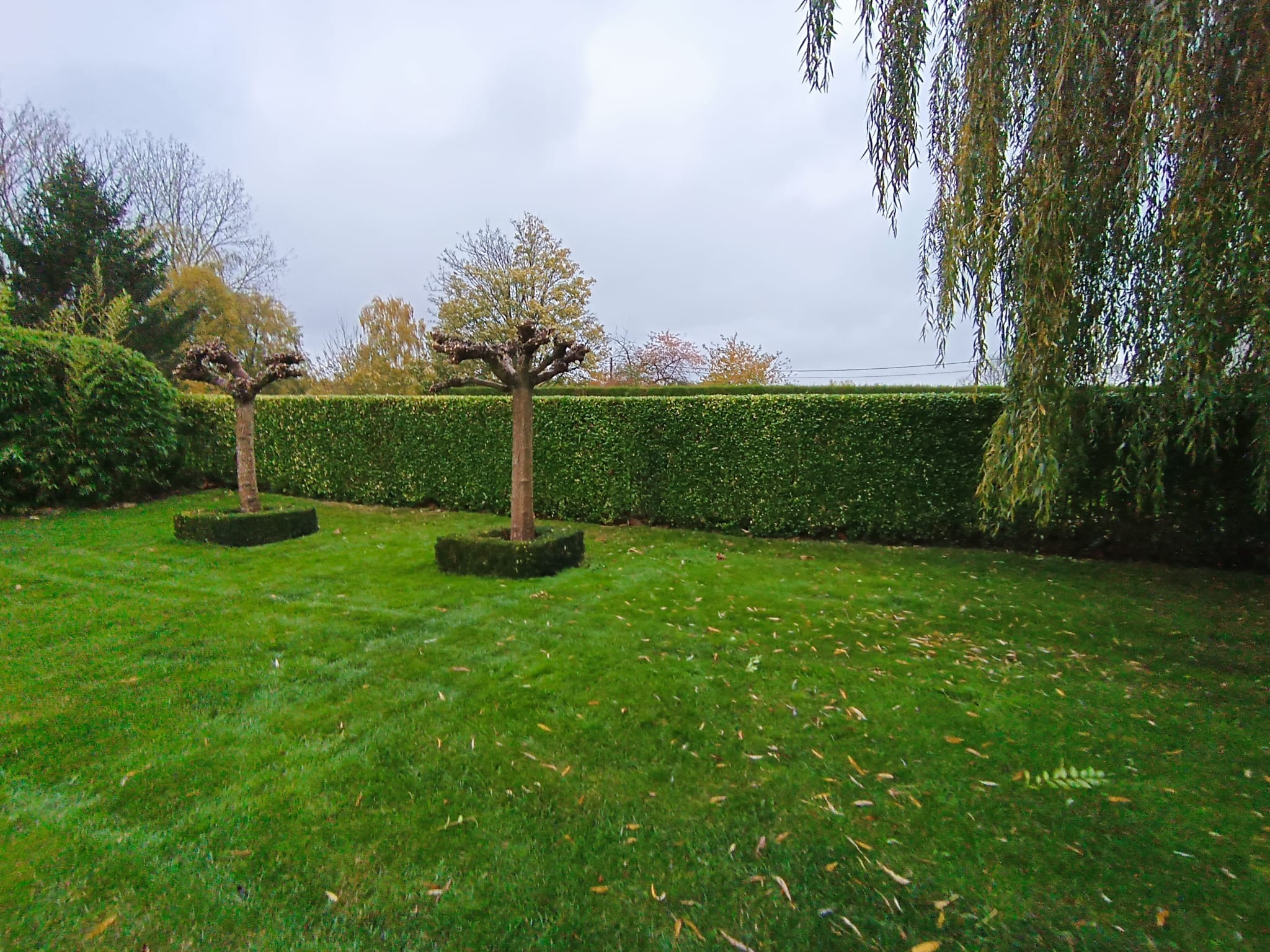 Professionele tuindiensten door Tuinen TDS