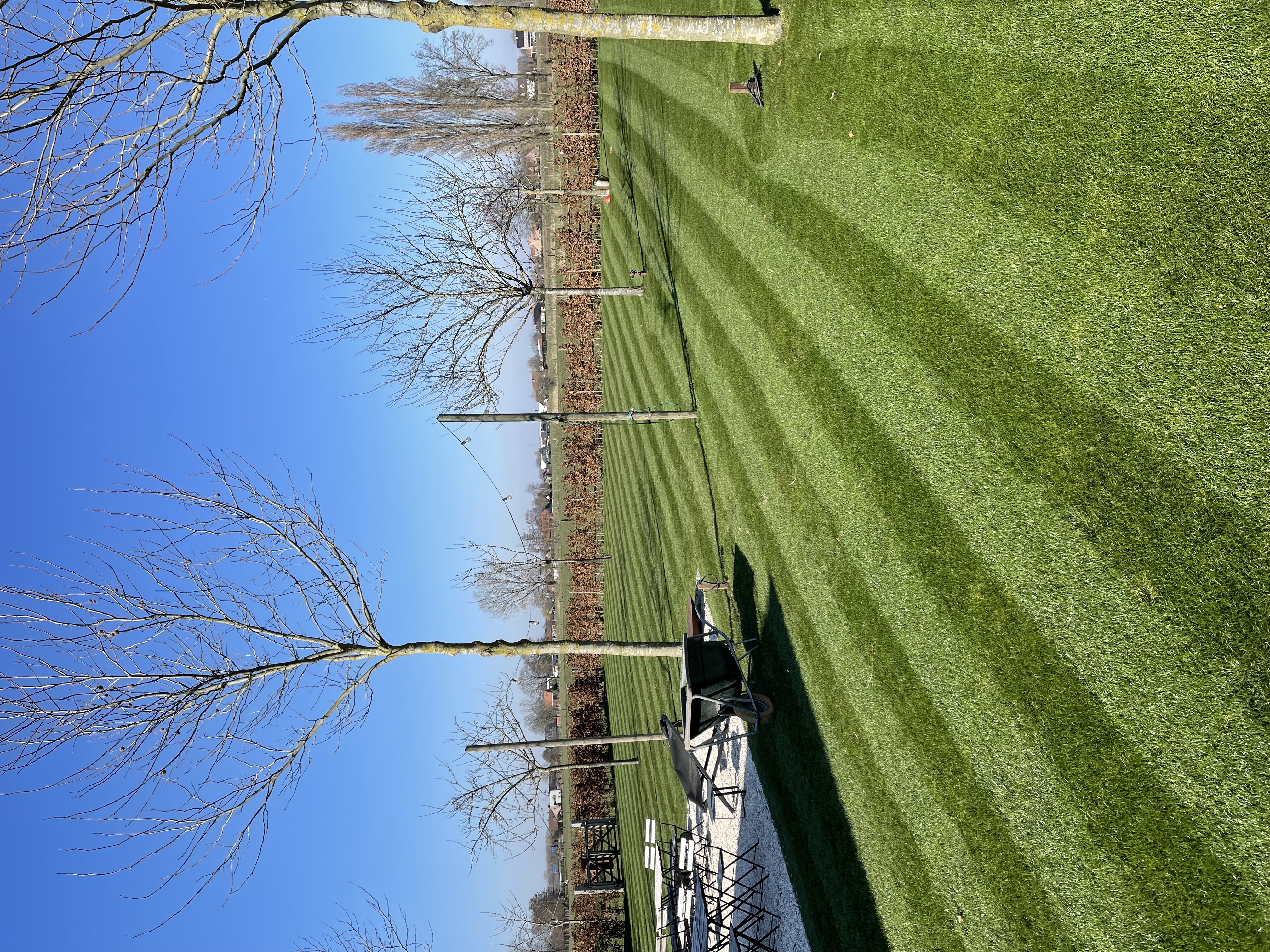 Professioneel tuinonderhoud en snoeiwerk