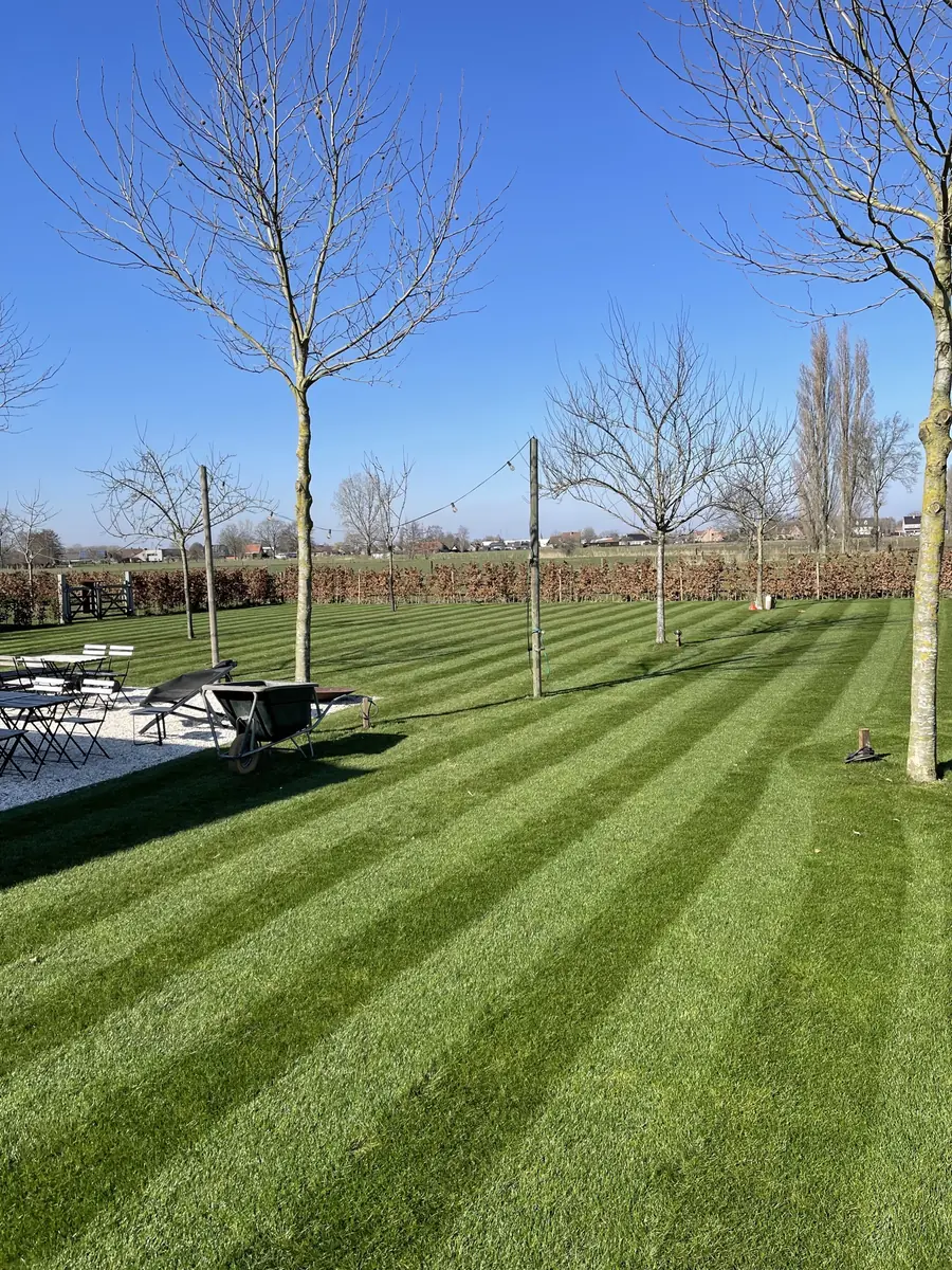 Professioneel tuinonderhoud en snoeiwerk