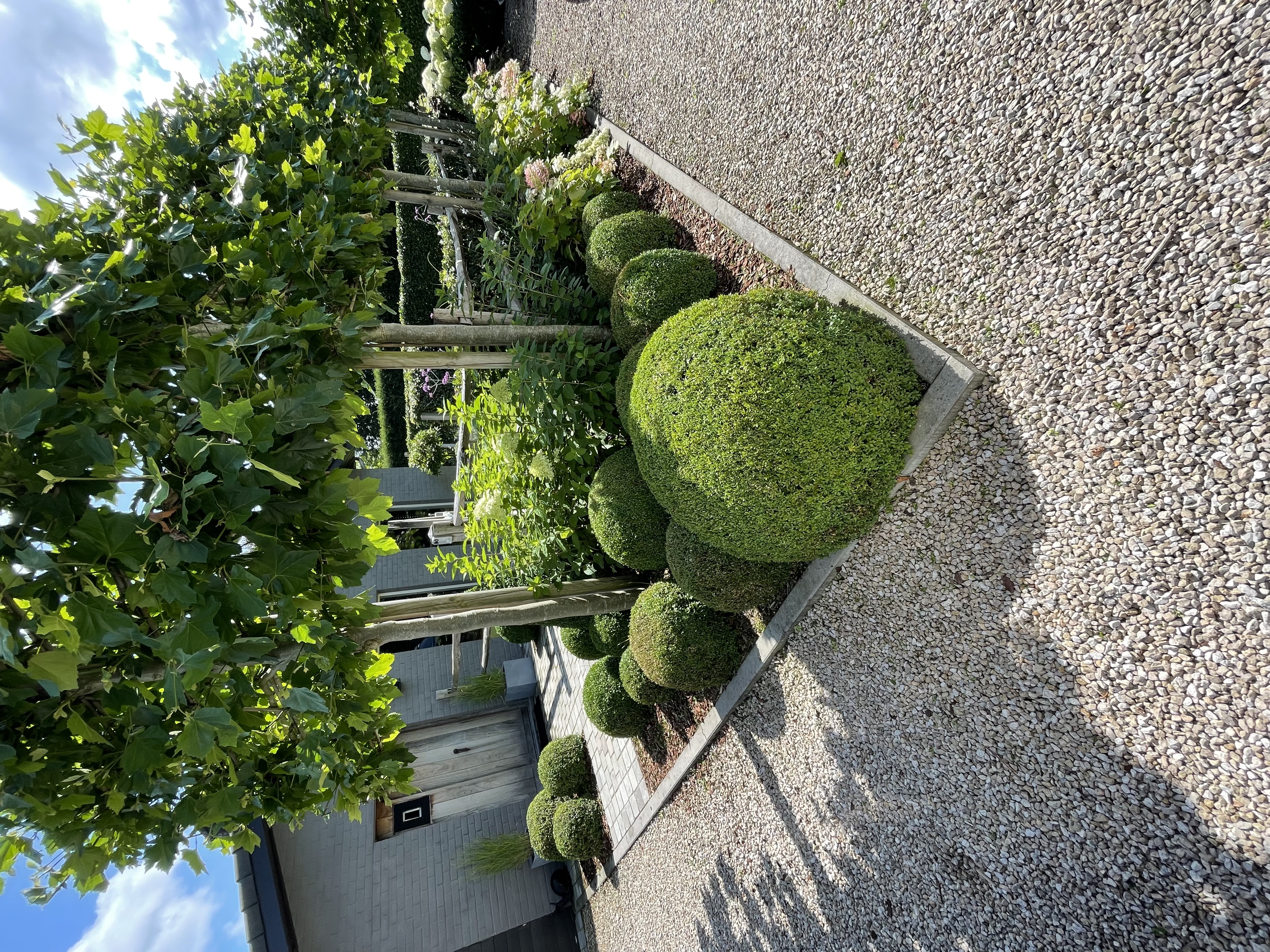 Prachtige tuin aangelegd door Tuinen TDS