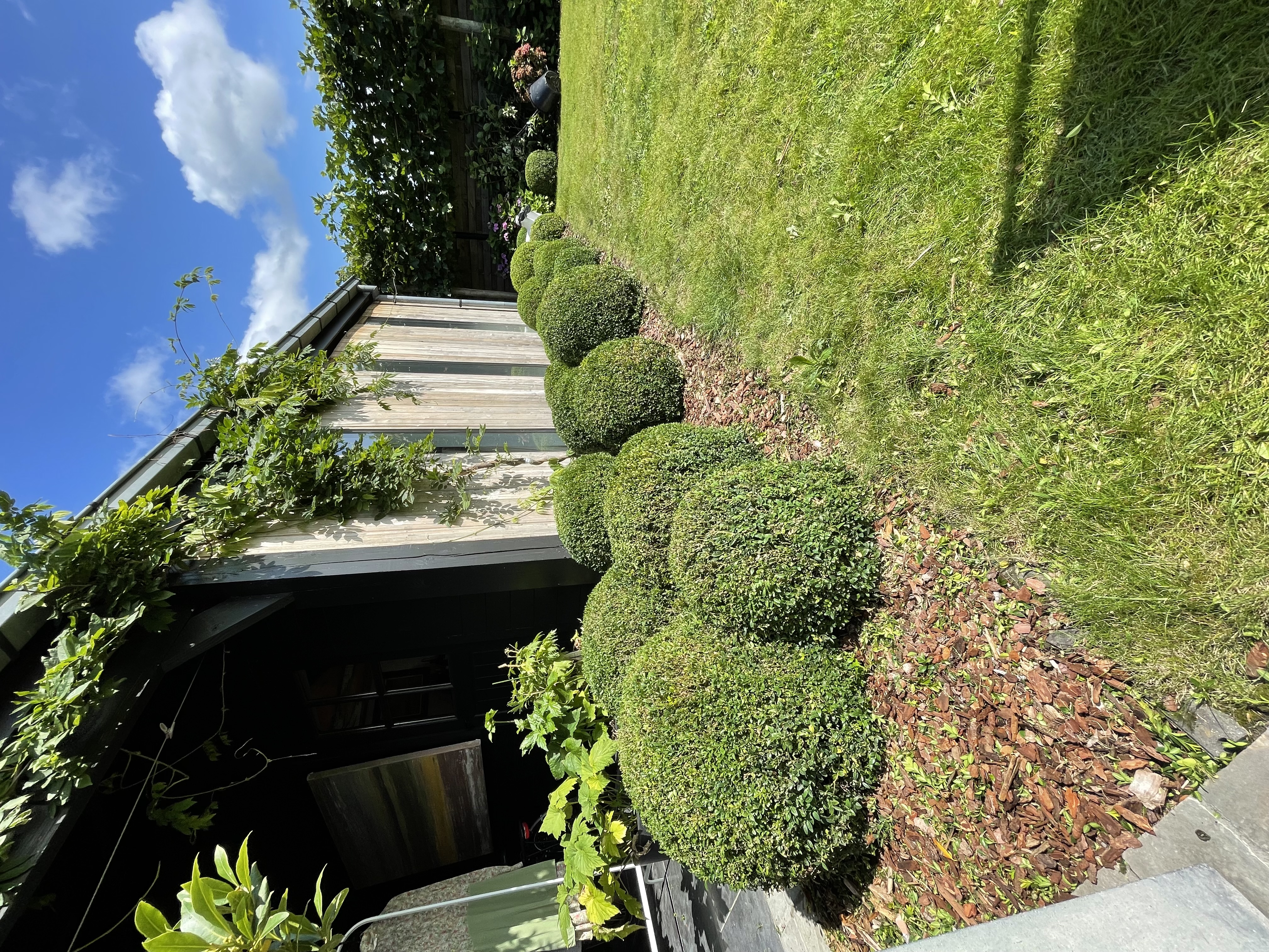 Thibaut de Schryver van Tuinen TDS aan het werk in een prachtige tuin