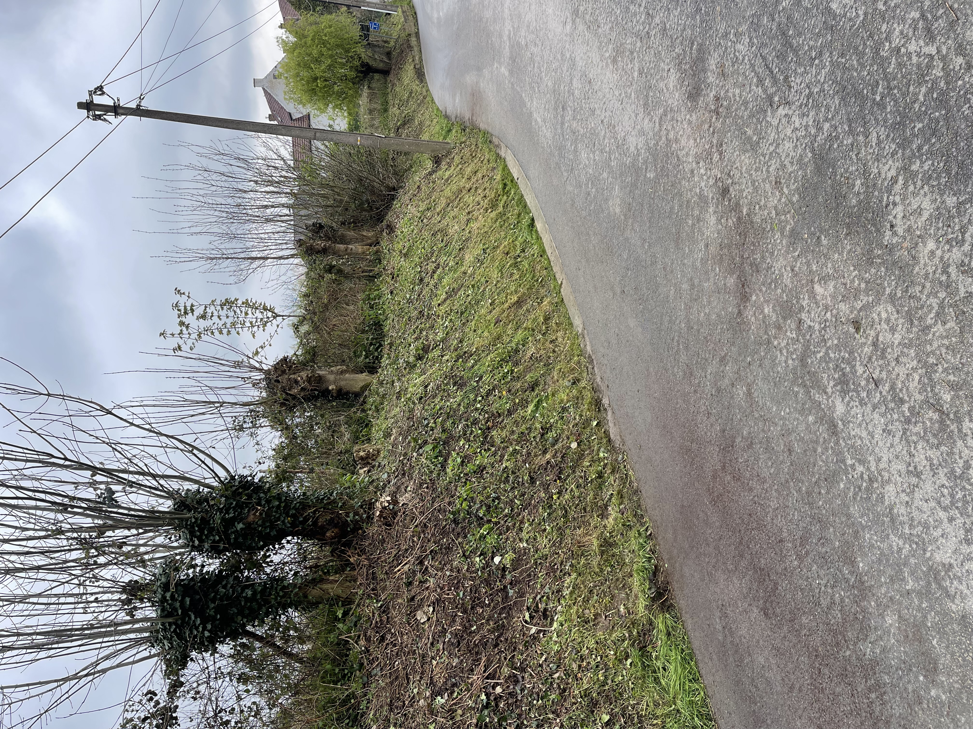 Na onderhoud - Bermonderhoud Wegbeplanting