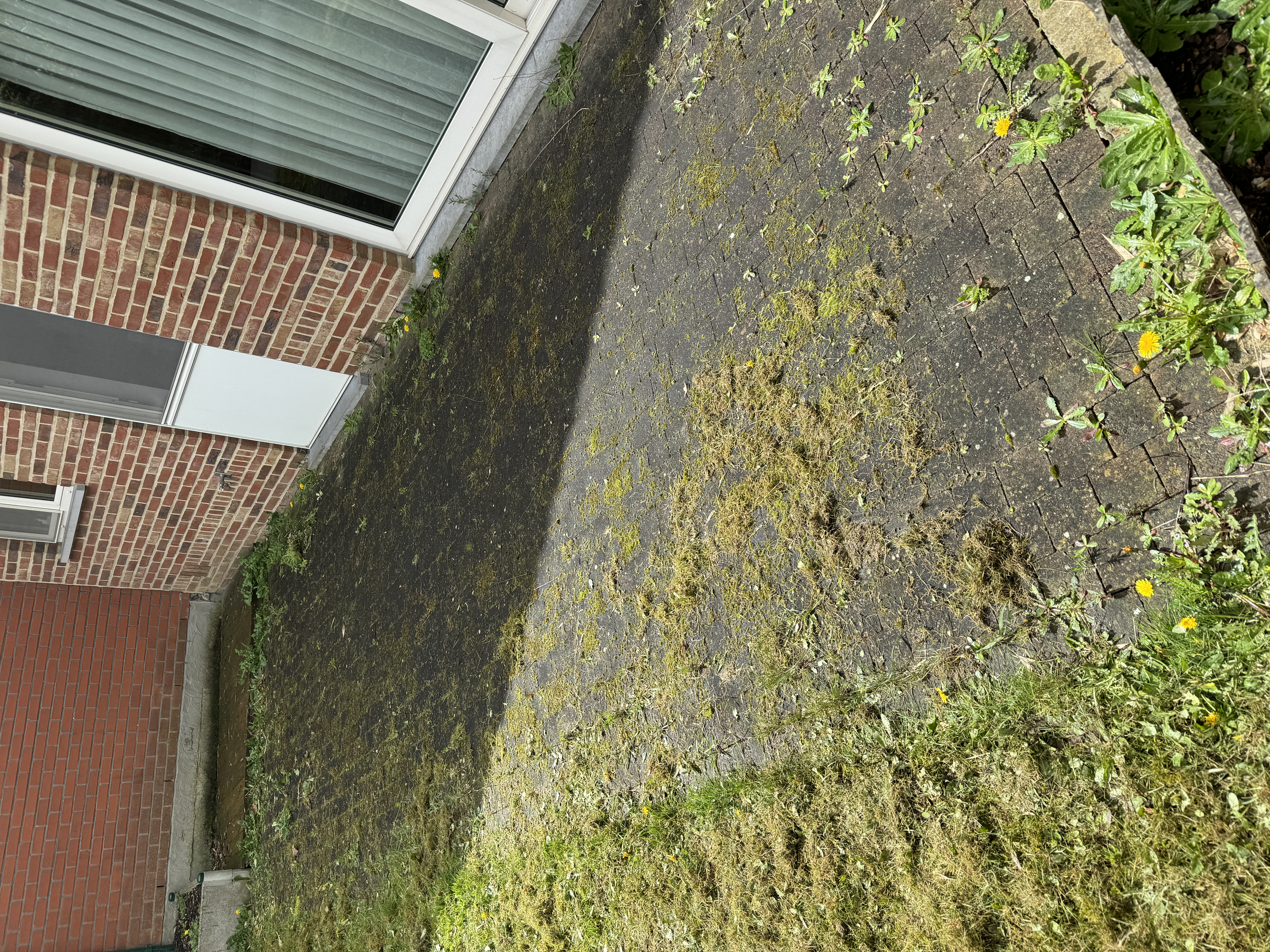 Voor reiniging - Terras Hogedrukreiniging